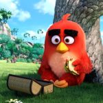 Angry Birds ve filmu
