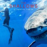 Mělčiny (The Shallows)