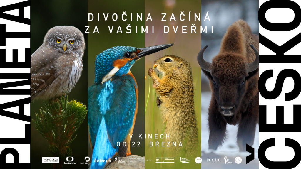 Planeta Česko