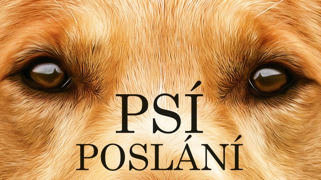 Psí poslání 2