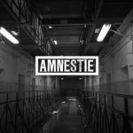 Amnestie