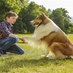 Lassie: Nové dobrodružství